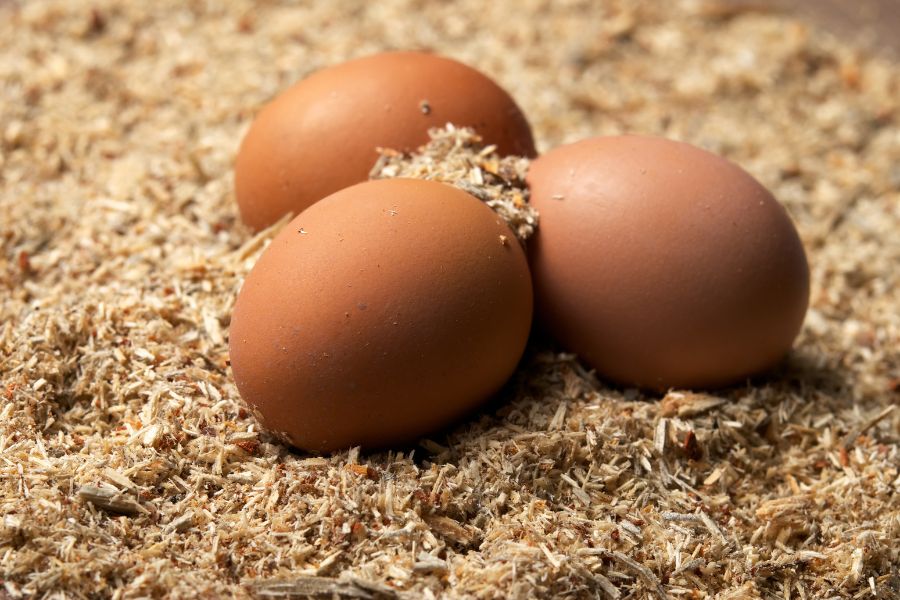 Sử dụng vỏ trấu hoặc mùn cưa để bảo quản trứng