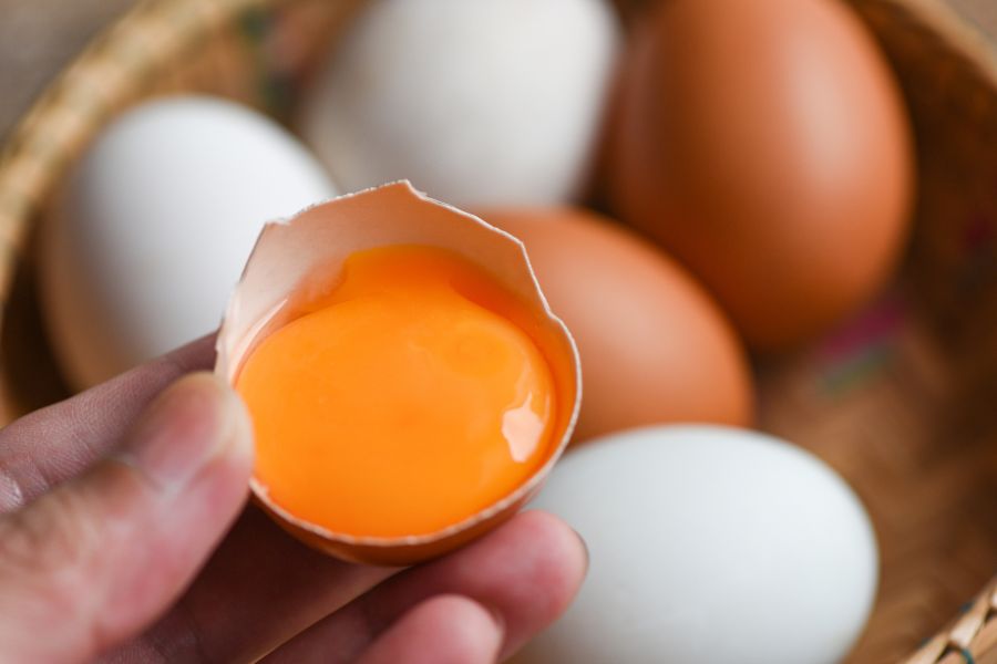Kiểm tra trứng thường xuyên để đảm bảo chất lượng