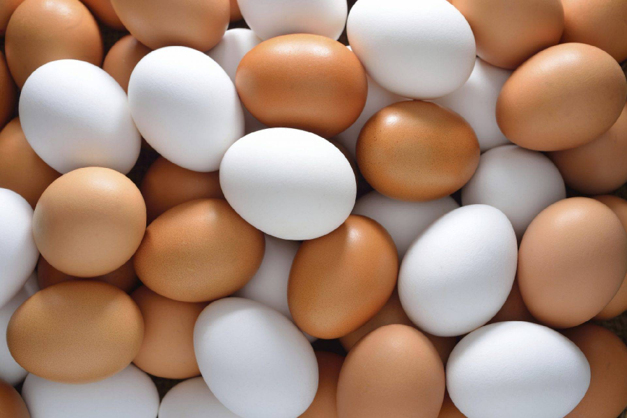 Cách chọn trứng gà tươi và sạch.